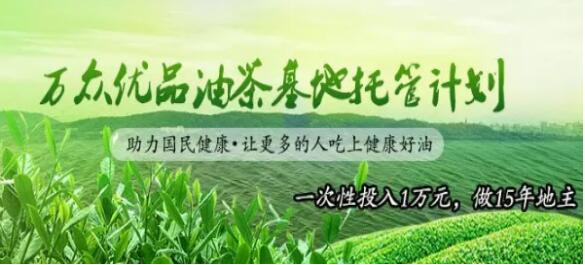 万众优品油茶基地托管计划——安庭茶油精准扶贫试点项目正式启动