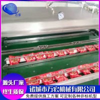 粽子真空封口设备 连续滚动式食品真空包装机